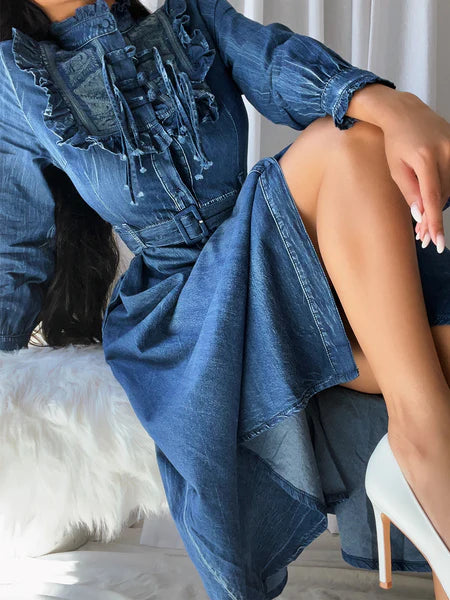 Viccy Denim Dress